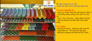 Ngoi trang men cao cap